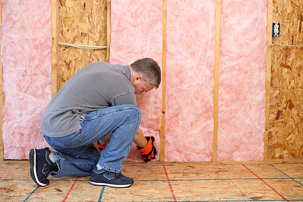 Professional Insulation Contractor in GA